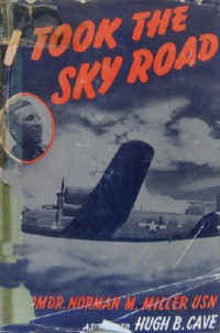 itooktheskyroad.jpg (35312 bytes)